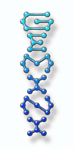 Gemini helix logo